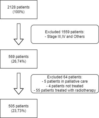 Clinical factors influencing long-term survival in a real-life cohort of early stage non-small-cell lung cancer patients in Spain